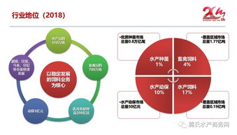 短短20年做到世界领先,这个料企让对手佩服,同行尊重